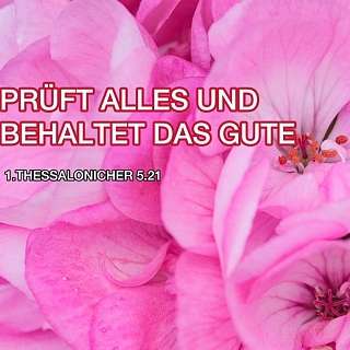 Collagenbild 2