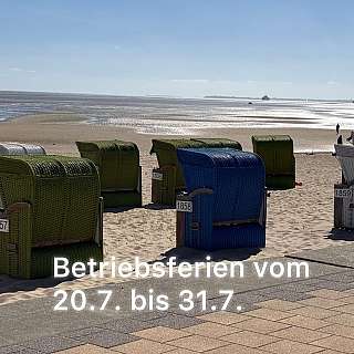 Collagenbild 3